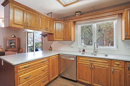 160 Ingram Park Drive, Brooks, AB - Indoor Photo Showing Kitchen With Double Sink