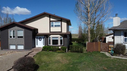 173 Shacker Crescent  Hanna, AB T0J 1P0