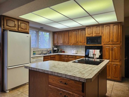 31 Larch Avenue, Drumheller, AB - Indoor Photo Showing Kitchen With Double Sink