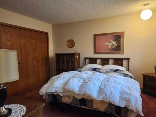 31 Larch Avenue, Drumheller, AB - Indoor Photo Showing Bedroom