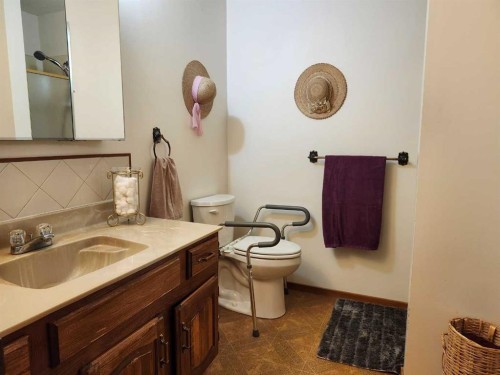 31 Larch Avenue, Drumheller, AB - Indoor Photo Showing Bathroom