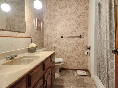 31 Larch Avenue, Drumheller, AB - Indoor Photo Showing Bathroom