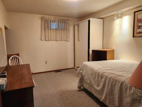 31 Larch Avenue, Drumheller, AB - Indoor Photo Showing Bedroom