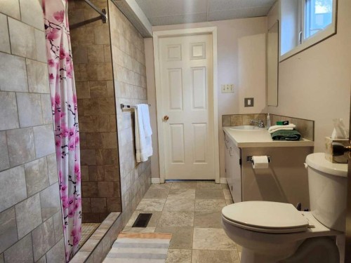 31 Larch Avenue, Drumheller, AB - Indoor Photo Showing Bathroom