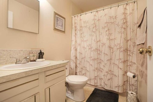 65 Eastbrook Drive, Brooks, AB - Indoor Photo Showing Bathroom