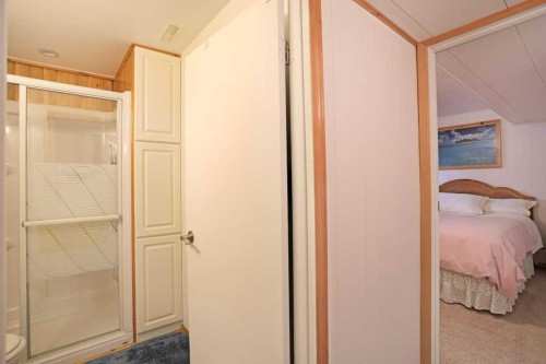 65 Eastbrook Drive, Brooks, AB - Indoor Photo Showing Bathroom