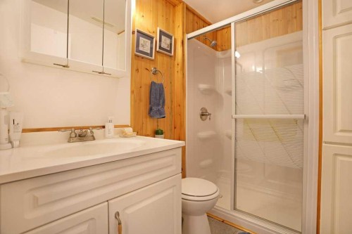 65 Eastbrook Drive, Brooks, AB - Indoor Photo Showing Bathroom