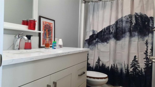 153 10 Avenue, Drumheller, AB - Indoor Photo Showing Bathroom