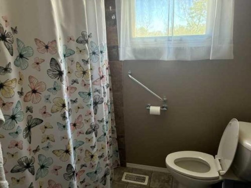 4601 Windsor Avenue, Coronation, AB - Indoor Photo Showing Bathroom