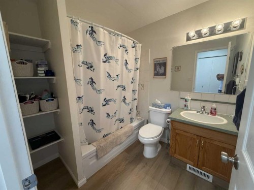 111 Shacker Crescent, Hanna, AB - Indoor Photo Showing Bathroom