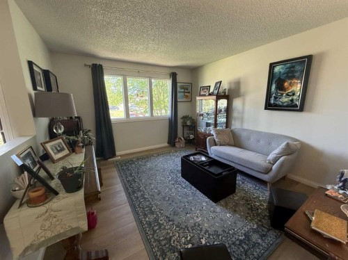 111 Shacker Crescent, Hanna, AB - Indoor Photo Showing Living Room