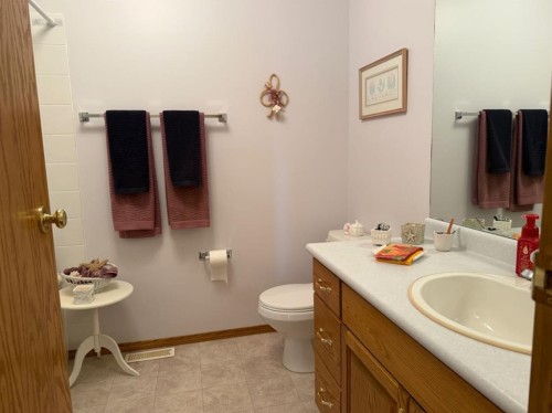 817 Bankview Drive, Drumheller, AB - Indoor Photo Showing Bathroom