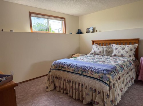 817 Bankview Drive, Drumheller, AB - Indoor Photo Showing Bedroom