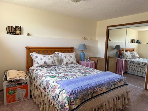 817 Bankview Drive, Drumheller, AB - Indoor Photo Showing Bedroom