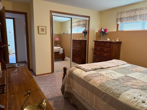 817 Bankview Drive, Drumheller, AB - Indoor Photo Showing Bedroom