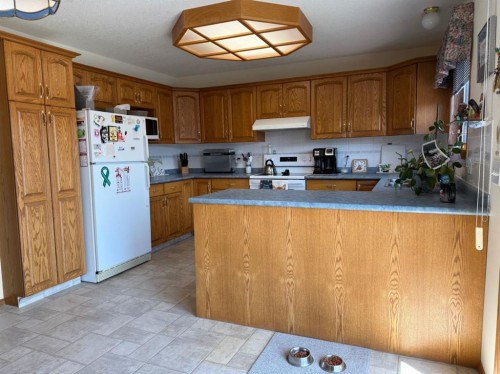 817 Bankview Drive, Drumheller, AB - Indoor Photo Showing Kitchen