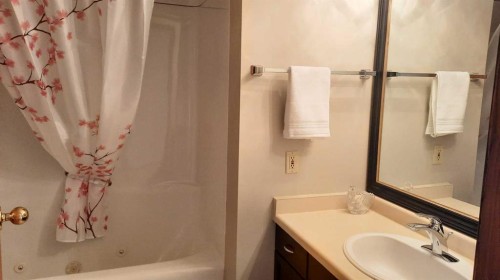241 4 Street, Drumheller, AB - Indoor Photo Showing Bathroom