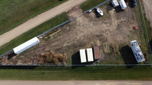 Delia, AB 