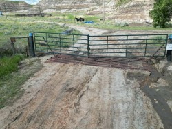 Highway 10 East  Drumheller, AB T0J 0Y0