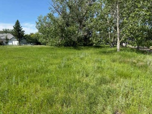 3 Oxford Drive, Carbon, AB 