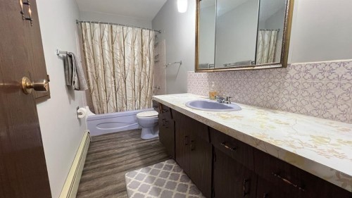 303 Nill Place, Hanna, AB - Indoor Photo Showing Bathroom