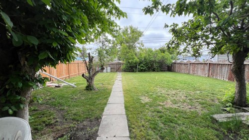 303 Nill Place, Hanna, AB - Outdoor With Backyard