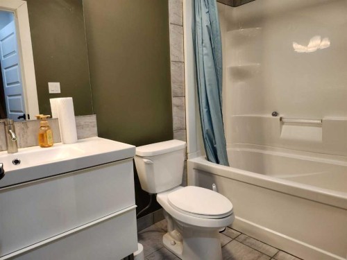 628 Bankview Drive, Drumheller, AB - Indoor Photo Showing Bathroom