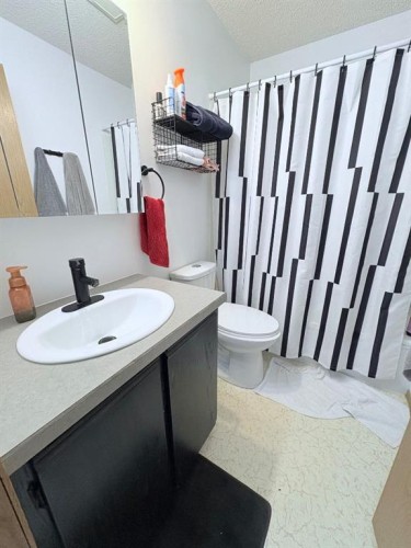 413 2 Avenue East, Oyen, AB - Indoor Photo Showing Bathroom