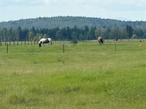 32446 Range Road 62, Rural Mountain View County, AB - Outdoor With View