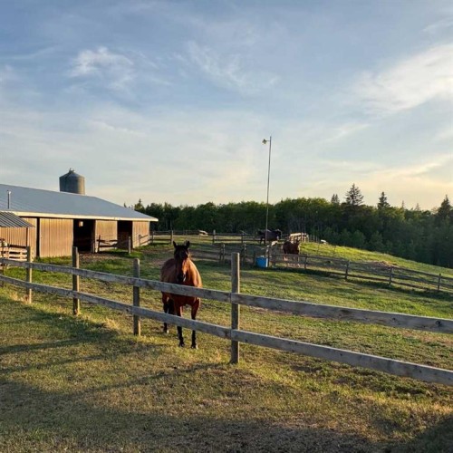 10-2168 587 Highway, Bowden, AB - Outdoor With View