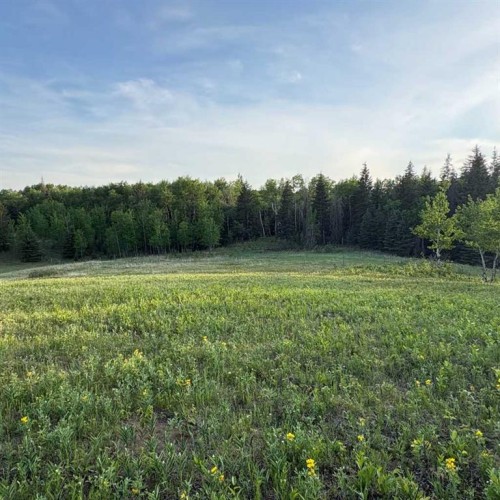 10-2168 587 Highway, Bowden, AB - Outdoor With View