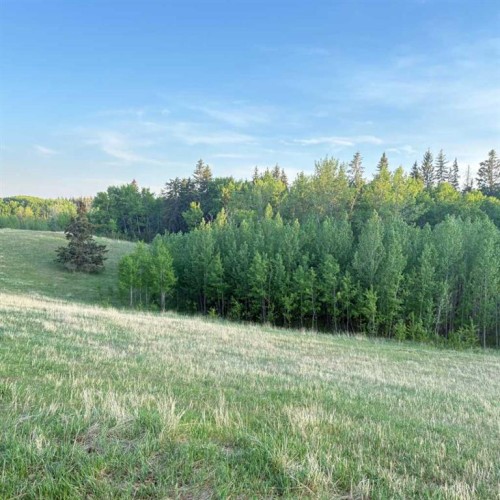 10-2168 587 Highway, Bowden, AB - Outdoor With View