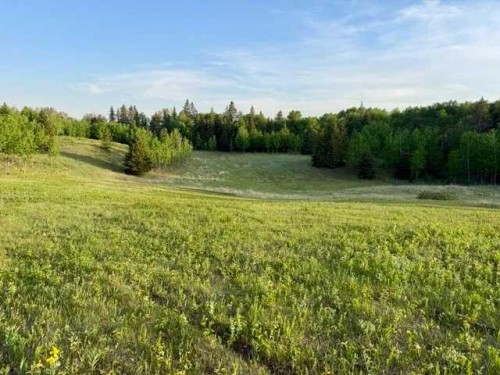 10-2168 587 Highway, Bowden, AB - Outdoor With View