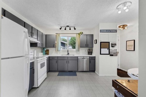101 Ingram Park Drive East, Brooks, AB - Indoor Photo Showing Kitchen