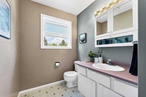 101 Ingram Park Drive East, Brooks, AB - Indoor Photo Showing Bathroom