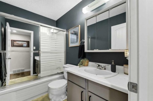 101 Ingram Park Drive East, Brooks, AB - Indoor Photo Showing Bathroom