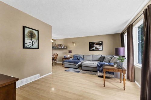101 Ingram Park Drive East, Brooks, AB - Indoor Photo Showing Living Room