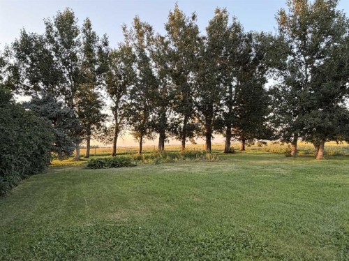 83002 Rge Rd 194, Coaldale, AB - Outdoor