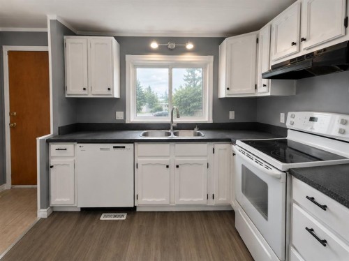 137 Big Hill Place, Airdrie, AB - Indoor Photo Showing Kitchen With Double Sink