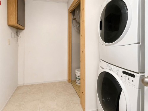 137 Big Hill Place, Airdrie, AB - Indoor Photo Showing Laundry Room