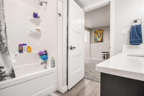 1614 2 Avenue East, Brooks, AB - Indoor Photo Showing Bathroom