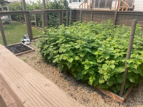 92 Railway Avenue, Rosemary, AB - Outdoor