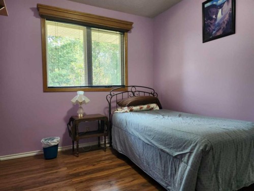 224 2 Street, Drumheller, AB - Indoor Photo Showing Bedroom