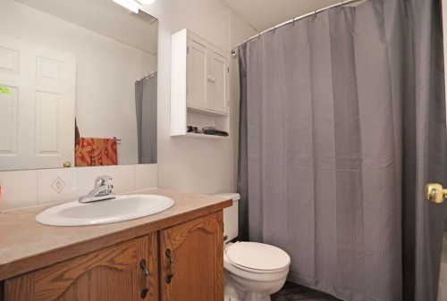 21 Pleasant Park Green West, Brooks, AB - Indoor Photo Showing Bathroom