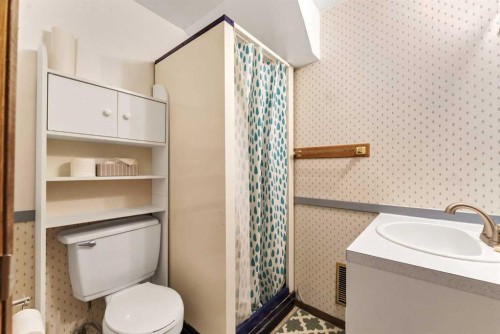 31 8 Street West, Brooks, AB - Indoor Photo Showing Bathroom
