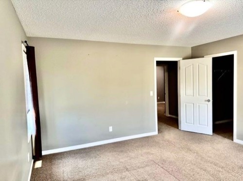 160 Acres South Of Oyen, Ab, Rural Special Areas No. 3, AB 