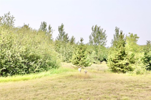 160 Acres South Of Oyen, Ab, Rural Special Areas No. 3, AB 
