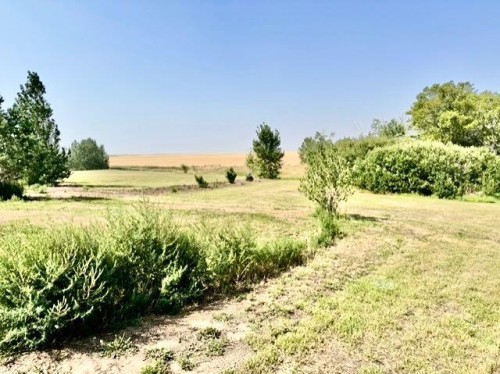 160 Acres South Of Oyen, Ab, Rural Special Areas No. 3, AB 