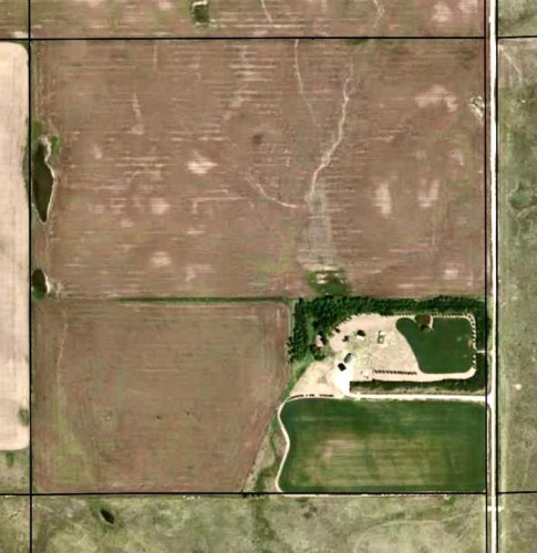 160 Acres South Of Oyen, Ab, Rural Special Areas No. 3, AB 