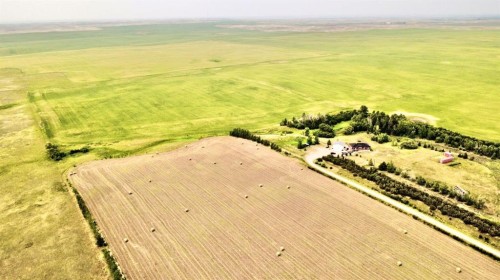160 Acres South Of Oyen, Ab, Rural Special Areas No. 3, AB 